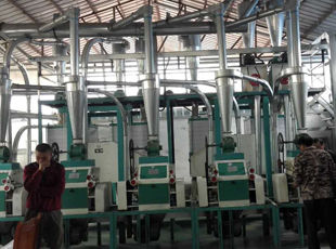 產(chǎn)品名稱：日加工面粉10噸--30噸成套設(shè)備
產(chǎn)品型號：
產(chǎn)品規(guī)格：